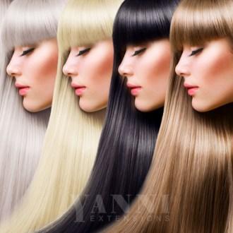 hair_CAT2