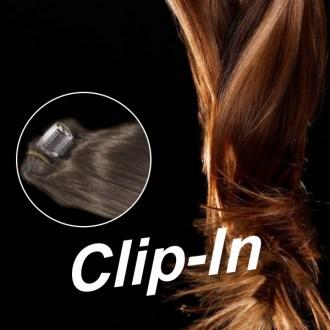 clip in