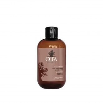 Olea Pure Origin Σαμπουάν με Έλαιο Baobab κ Λιναρόσπορου Πλούσιο Σε Αμινοξέα κ Βιταμίνες-250ml 11010