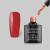 Lacomchir UV/LED Black Series CE022 Coral - Cat Eye-10ml - 23002-CE022